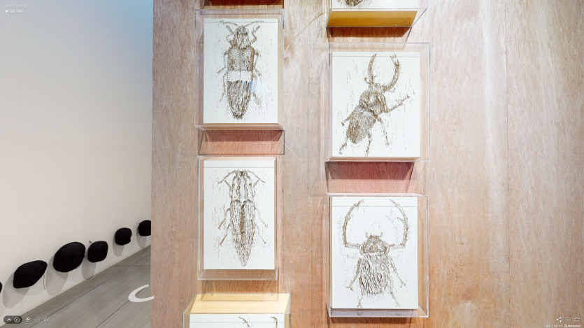 Lee Bae, view of exhibition at Indang Museum, Daegu